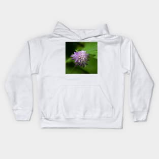 Violet Mountain Flower - Globularia nudicaulis L Kids Hoodie